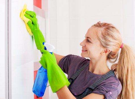 Professional window cleaning in Crystalpalace for a bright exterior finish