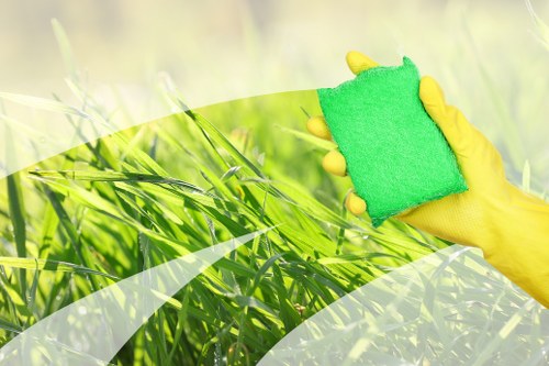 Steam cleaning process for carpets to improve hygiene and appearance