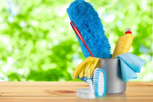 Professional cleaners in Crystal Palace working in a home interior