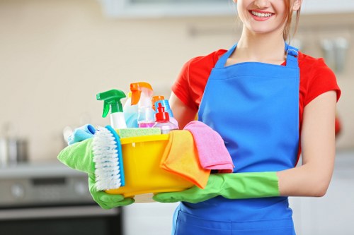Professional cleaner in Crystalpalace providing domestic cleaning service