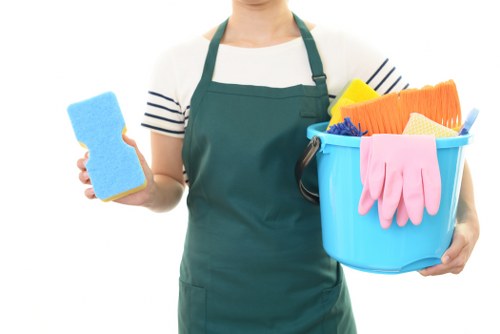 Carpet cleaning in a Crystal Palace home with transparent pricing details