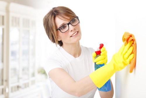 Crystalpalace cleaner maintaining a tidy residential property
