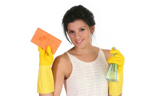 Carpet cleaning team preparing equipment with safety focus
