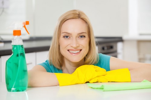 Deep steam carpet cleaning process in Crystal Palace home
