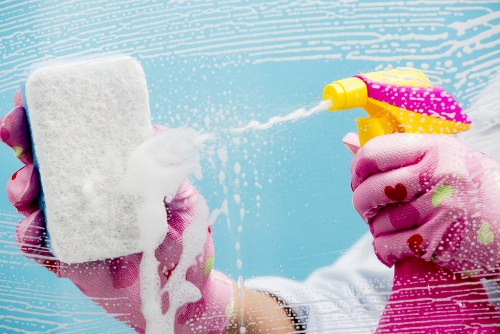 Crystal Palace cleaning services for domestic and commercial properties
