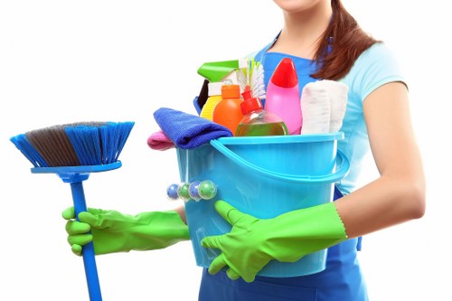 Essential and analytics cookie settings for a carpet cleaning website