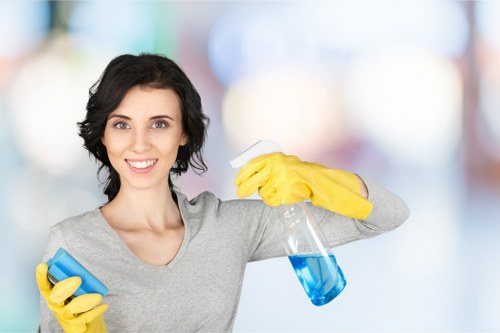 Eco-friendly carpet cleaning service in Crystal Palace property