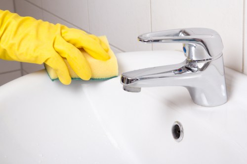 Carpet cleaning service terms and booking information
