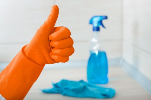 Eco-friendly cleaners in Crystal Palace maintaining a workplace