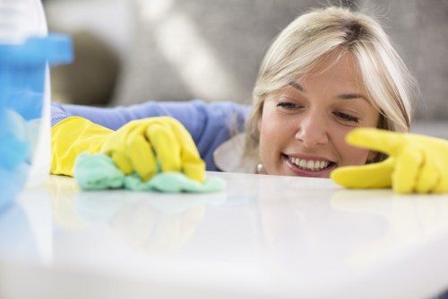 Living room and bedroom cleaning for a rental property in Crystal Palace