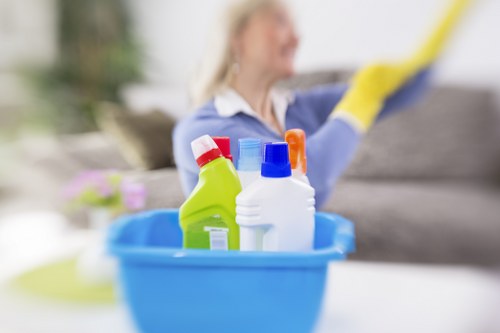 Payment security details for Crystalpalace Carpetcleaning with SSL protection