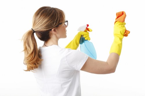 Deep cleaning service for a tidy Crystal Palace property