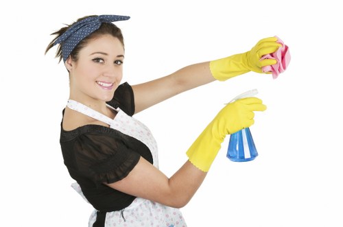 Review of carpet cleaning complaint details