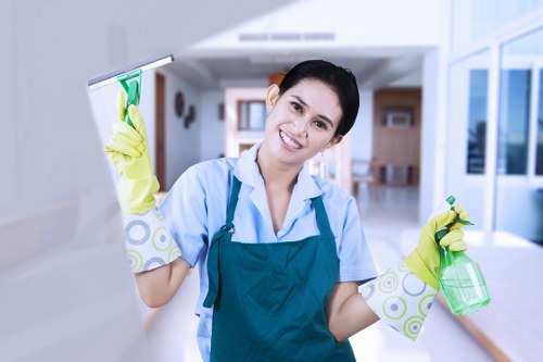 Domestic cleaning service in Crystal Palace kitchen area