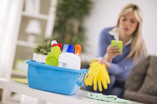 Cleaner carpets and brighter interior after carpet cleaning in Crystalpalace